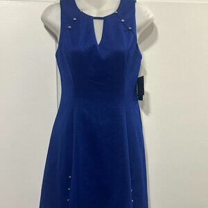 BNWT Beautiful Blue Guess Dress Size 4